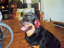 Load image into Gallery viewer, Guru Yard Style Tee