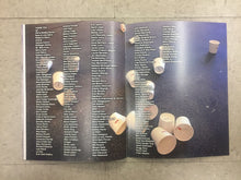 Load image into Gallery viewer, Space Program: Europa (Experience Report 1.0)