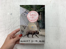 Load image into Gallery viewer, How to Build a Geodesic Dome Zine