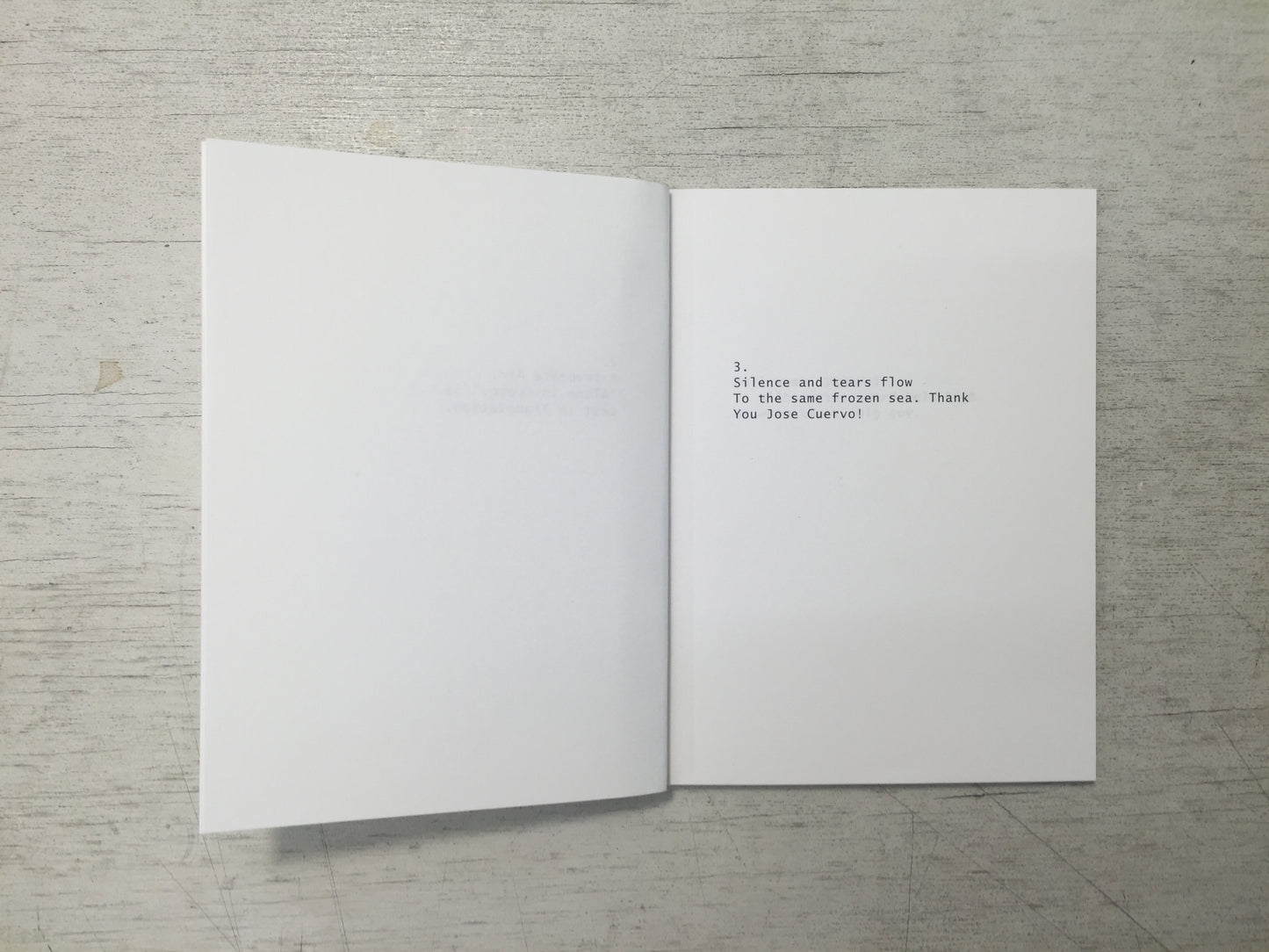 Twenty-Nine Haikus for Tom Sachs