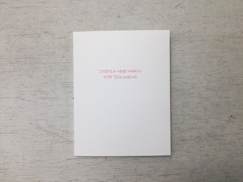 Twenty-Nine Haikus for Tom Sachs