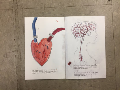 Heart Brain Feedback System (A Space Program DVD) JAPANESE IMPORT EDITION